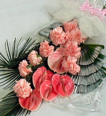 Glorius Pink Anthuriums N Carnations 