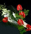 Anthurium And Orchid Bouquet