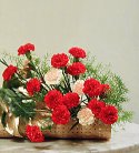 Carnation Arrangement
