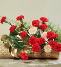 Carnation Arrangement