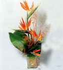 Exotic Bird of Paradise Vase N Chocolate Combo