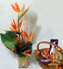 Exotic Bird of Paradise Vase N Chocolate Combo