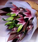 Pink Oriental Lilis Bouquet
