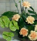 Exotic Anthurium And Carnation Basket