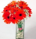 Brilliant Gerbera Vase