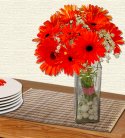 Brilliant Gerbera Vase