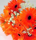Brilliant Gerbera Vase