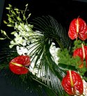 Anthurium And Orchid Bouquet
