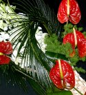 Anthurium And Orchid Bouquet