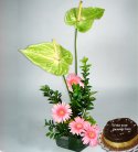 Delightful Anthuriums n Cake