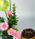 Delightful Anthuriums n Cake