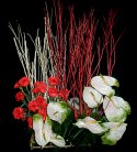 Dreamy Arrangement of Anthuriums N Carnations