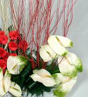 Dreamy Arrangement of Anthuriums N Carnations