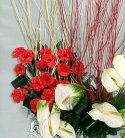 Dreamy Arrangement of Anthuriums N Carnations