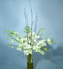 Elegant White Orchids in Vase