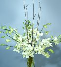 Elegant White Orchids in Vase