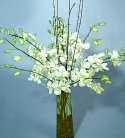 Elegant White Orchids in Vase