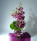 Gorgeous Purple Orchid Arrangement