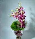 Gorgeous Purple Orchid Arrangement