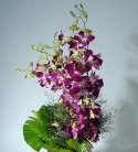 Gorgeous Purple Orchid Arrangement