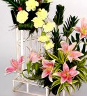 Exotic Breeze of Pink Lillies N Carnations