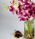 Exotic Orchid Vase n Cake