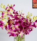Exotic Orchid Vase n Cake
