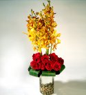 Golden Glory