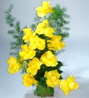 Sun Shining Yellow Rose Vase