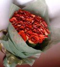 Just Roses