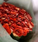 Just Roses