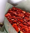 Just Roses