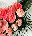 Glorius Pink Anthuriums N Carnations 