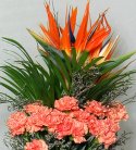 Rising Sun Bouquet