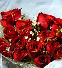 Rose Elegance