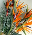Paradise of Love Shining Bouquet