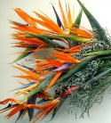 Paradise of Love Shining Bouquet