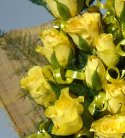 Shining Yellow Rose Bouquet