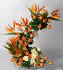 Orange Opulence of Bird of Paradise N Roses 