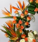 Orange Opulence of Bird of Paradise N Roses 