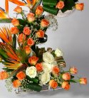 Orange Opulence of Bird of Paradise N Roses 
