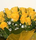 Yellow Glory Flowers